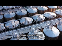 Apa beberapa contoh proyek kontainer yang berhasil?